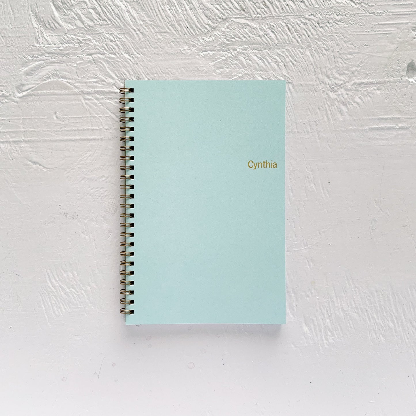 personalized travel notebooks - set of 3