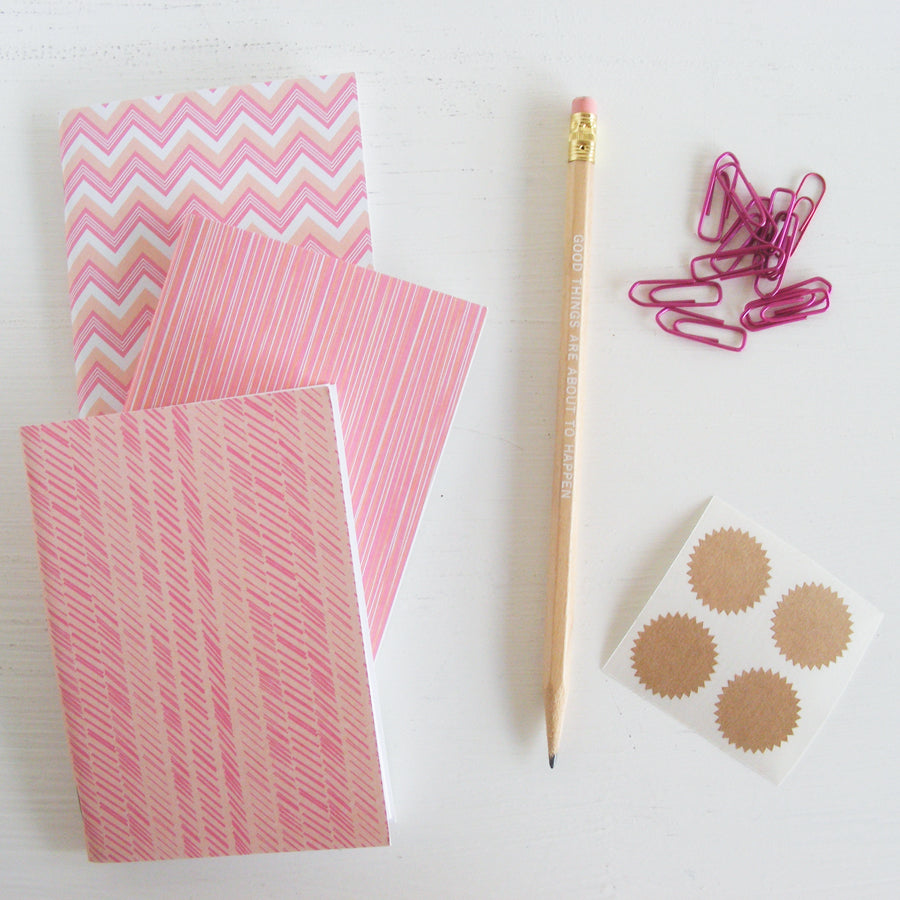 set of 3 pocket journals - lined in creamscicle