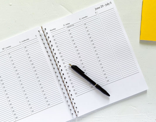 2025 large timed weekly planner