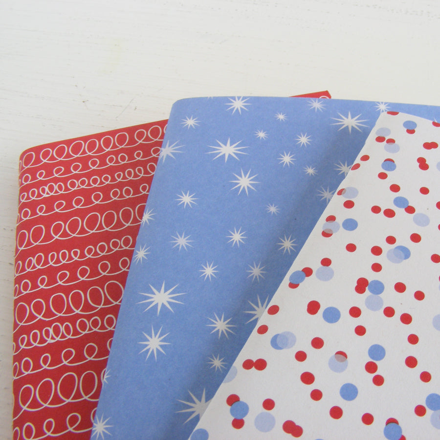 set of 3 pocket journals - celebrate in fire and ice